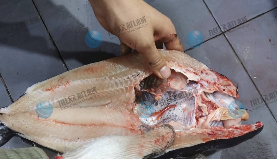 殺魚機(jī)，商用殺魚機(jī)，全自動殺魚機(jī)，旭眾殺魚機(jī)，殺魚機(jī)哪家好