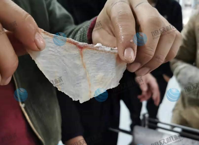 魚片機(jī)，片魚片機(jī)，片魚機(jī)，斜切魚片機(jī)，全自動魚片機(jī)