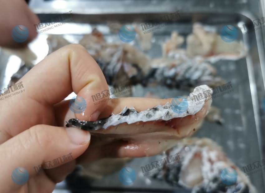 魚片機(jī)，片魚片機(jī)，片魚機(jī)，斜切魚片機(jī)，全自動魚片機(jī)