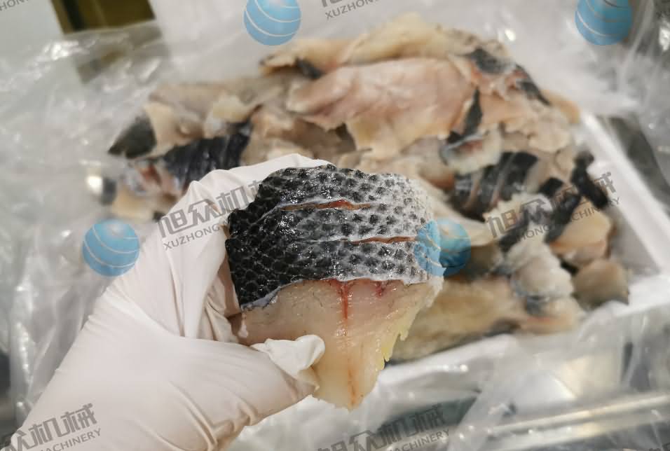 魚片機(jī)，片魚片機(jī)，全自動魚片機(jī)，商用片魚片機(jī)器，切魚片機(jī)