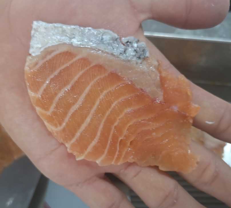 魚片機(jī)，自動切魚片機(jī)，旭眾魚片機(jī)，多功能切魚片機(jī)，魚片機(jī)多少錢