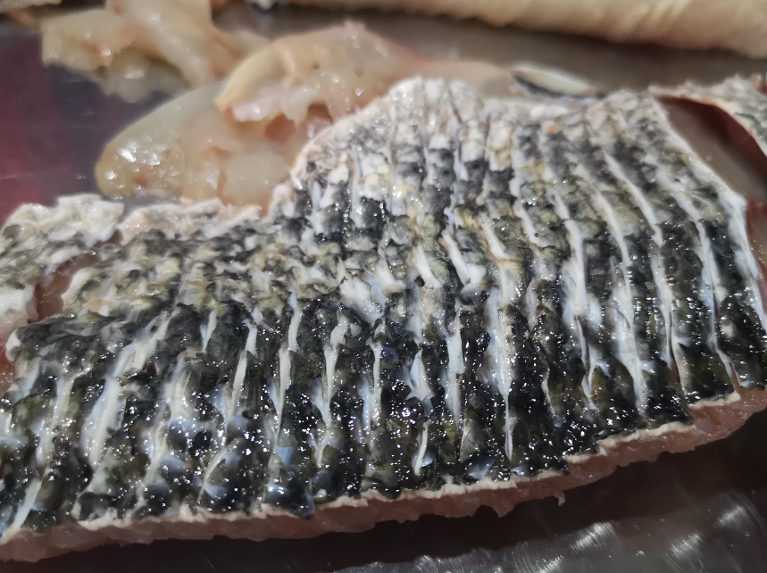 切魚片機，自動切魚片機，片魚片機器，魚片機廠家，切魚片機多少錢