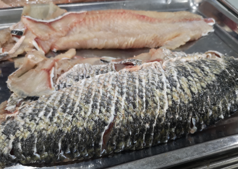 切魚片機，自動切魚片機，片魚片機器，魚片機廠家，切魚片機多少錢