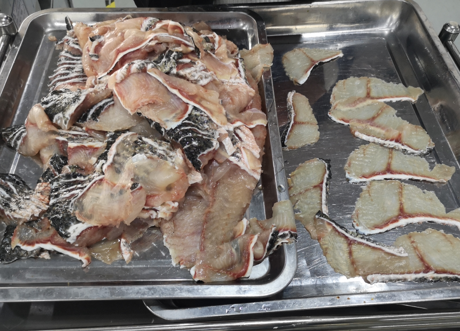 切魚片機，自動切魚片機，片魚片機器，魚片機廠家，切魚片機多少錢