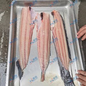現(xiàn)場試機鯰魚，三枚開片去魚骨機
